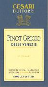 Due Torri - Pinot Grigio Friuli NV (750ml) (750ml)